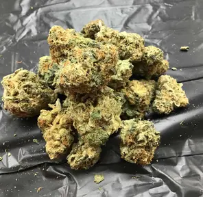 Cinderella 99