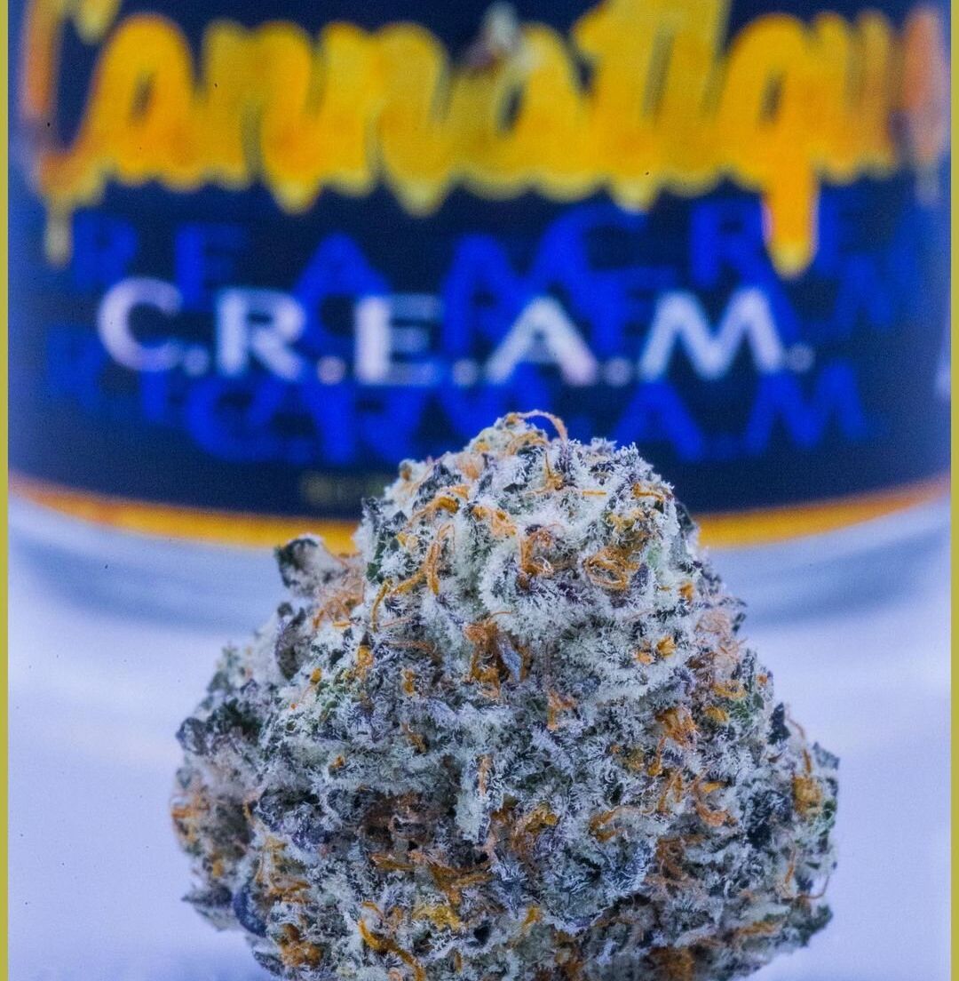 Cannatique | Cream Jar 25.58% THC 3.5g