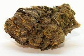 Chocolate OG 3.5g Flower (Cultivate)