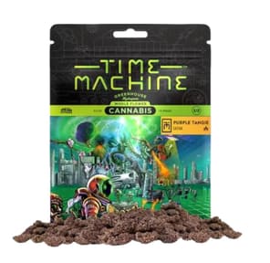 Time Machine Purple Tangie