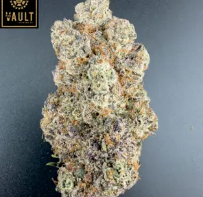 7g - G.T.F.O (AAAA+)