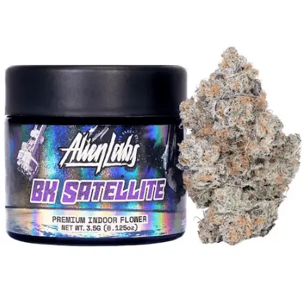 BK Satellite Indoor 3.50 g