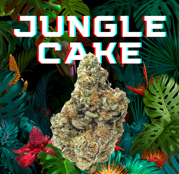 DAZE - Jungle Cake (7g)