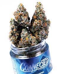 Connected Indoor Gelato 41 3.5g
