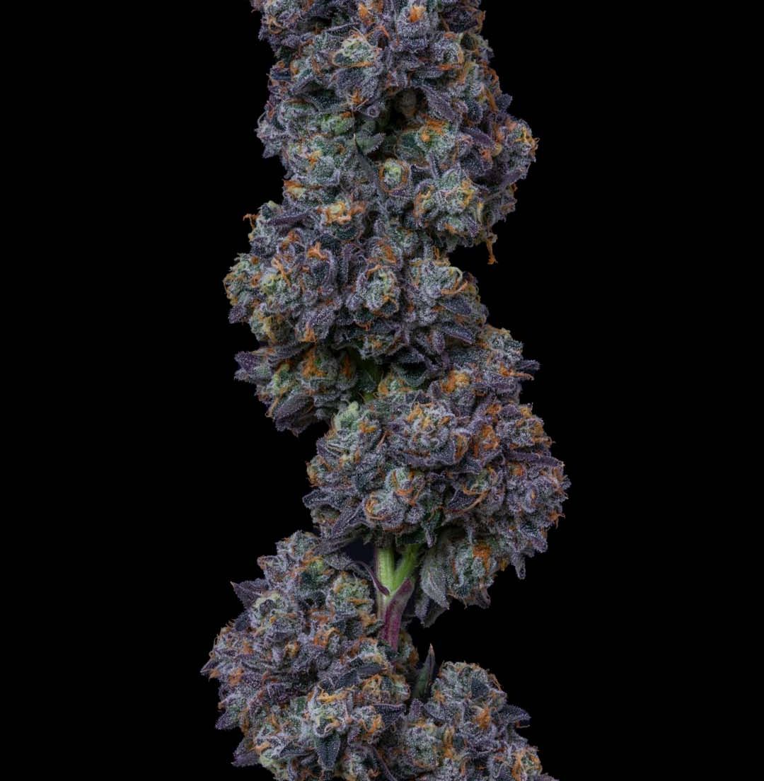 Alt Sol | Permanent Marker - Flower | 3.5g | Indica-Hybrid