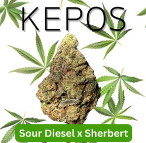 Kepos - Sour Diesel x Sherbert 28g - PREMIUM FLOWER