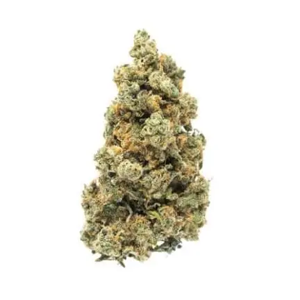 Super Jack 7.00 g