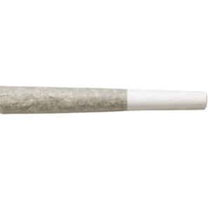 0.5g Bubble Hash & Live Rosin Infused House Roulette Pre Roll Joint - Limited Edition