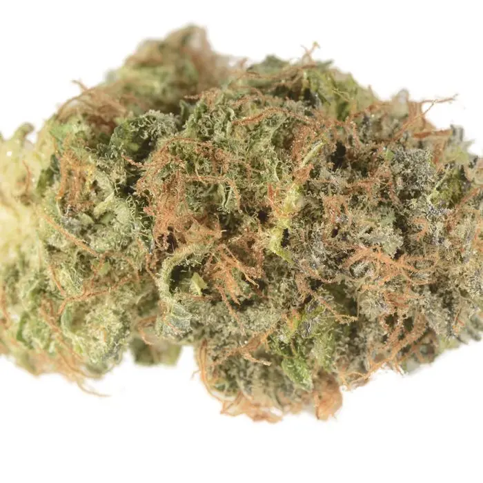 Bloom Farms - Oracle 3.5g