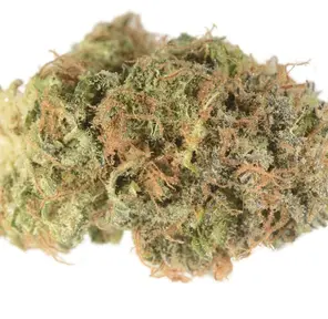 Bloom Farms - Oracle