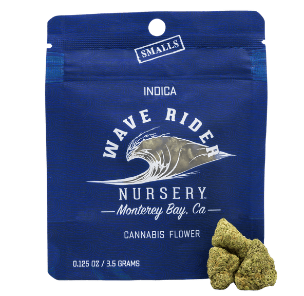 Wave Rider - Gelato 33 3.5G - FLOWER