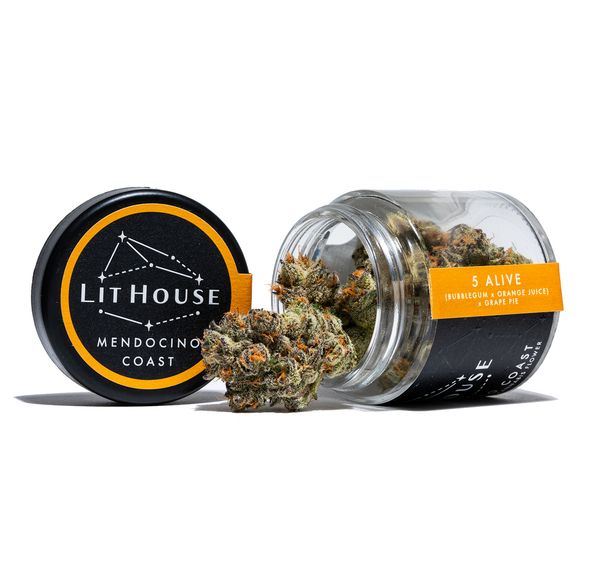 LitHouse | 5 Alive 23.68% THC 3.5g
