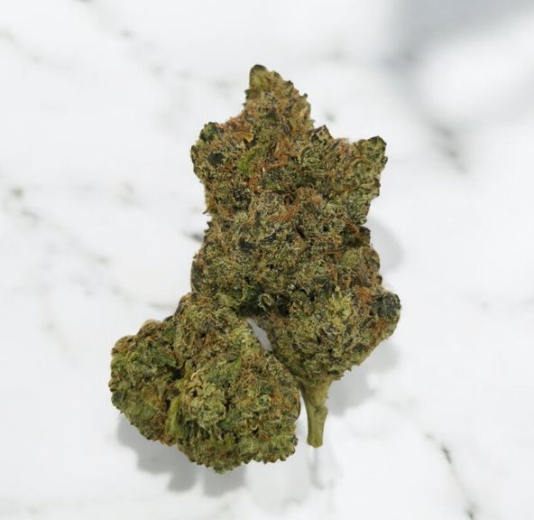 Black Cherry Gelato - Yellow Sticker