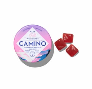 CAMINO: Wild Berry