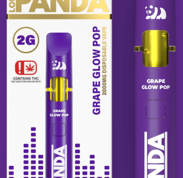 Loud Panda - Grape Glow Pop - 2g Disposable
