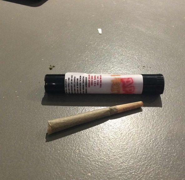 Apple Fritter 1g Bee Elevated preroll