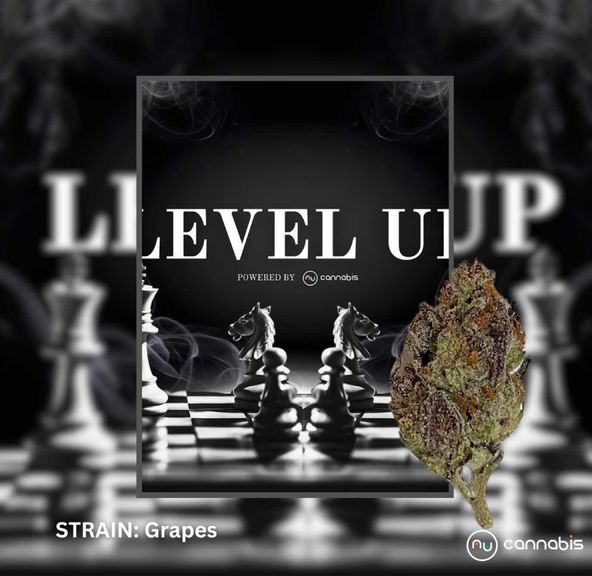Level Up - Grapes 3.5G - PREMIUM FLOWER
