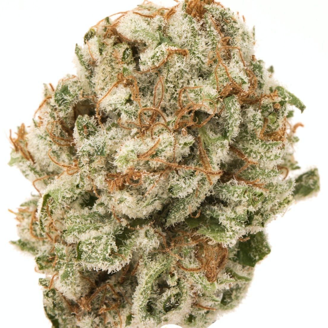 STRAWBERRY BANANA -- Trusty