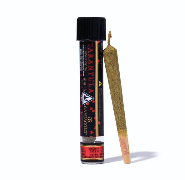 GANJA GOLD - 1.2G PREROLL - RED TARANTULA - SATIVA