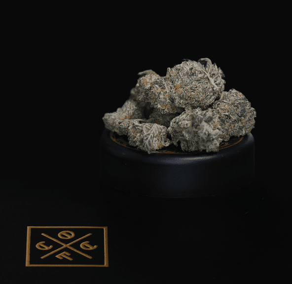 Cream of The Crop | Bud | Hassionfruit | 3.5g | Sativa | 31.15%THC