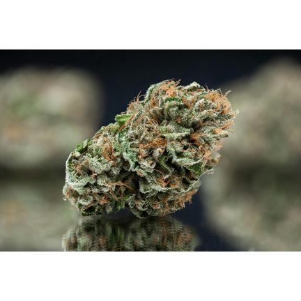 Black Cherry