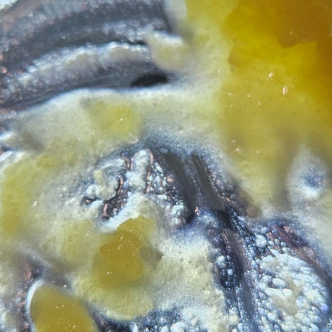 Dissolv - Dabs - Gas Breath - 1g