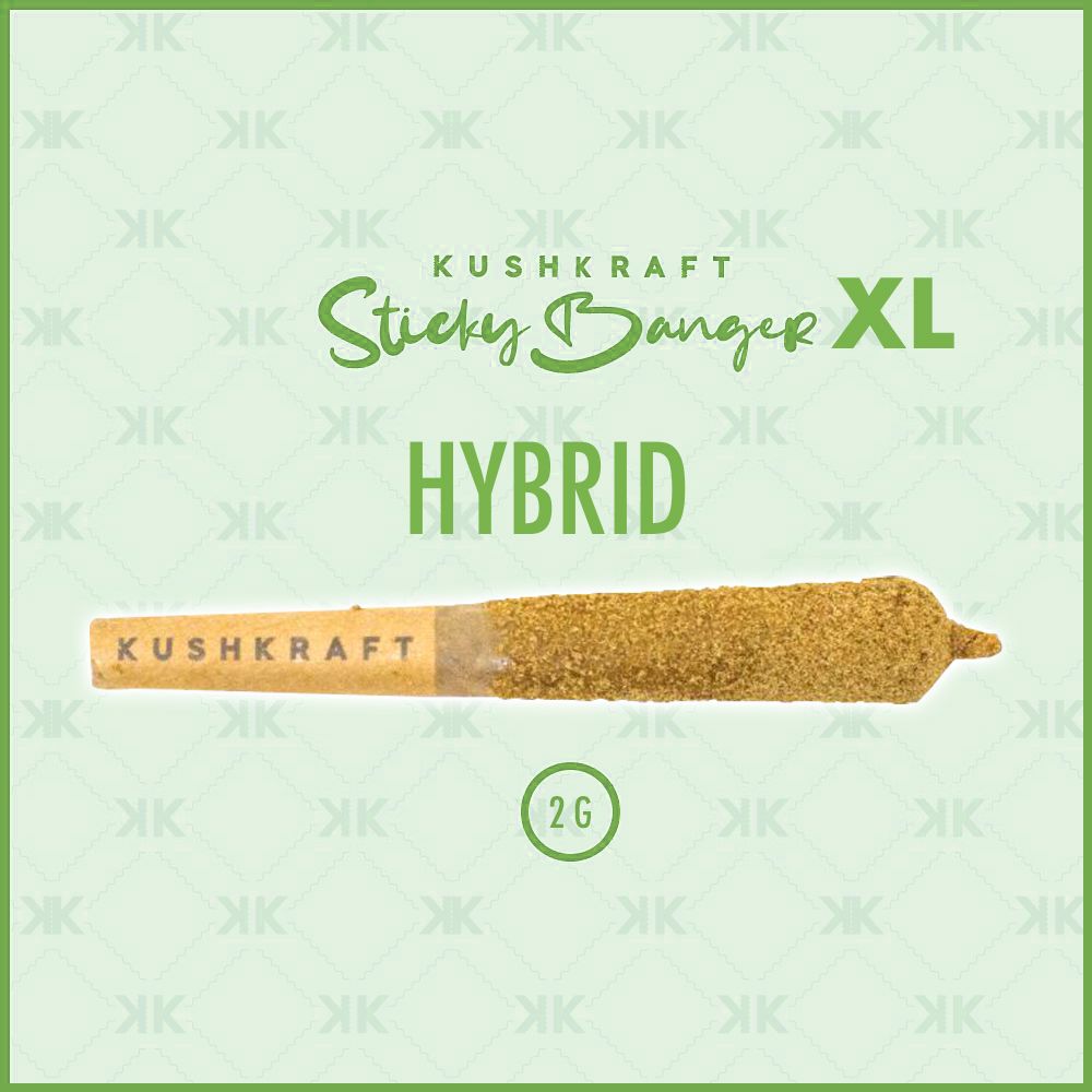 1 x 2G XL Infused Sticky Banger - Hybrid