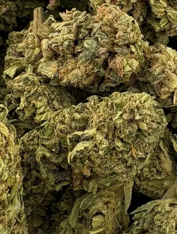14G - LEMON COOKIES (AA+)