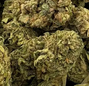14G - LEMON COOKIES (AA+)