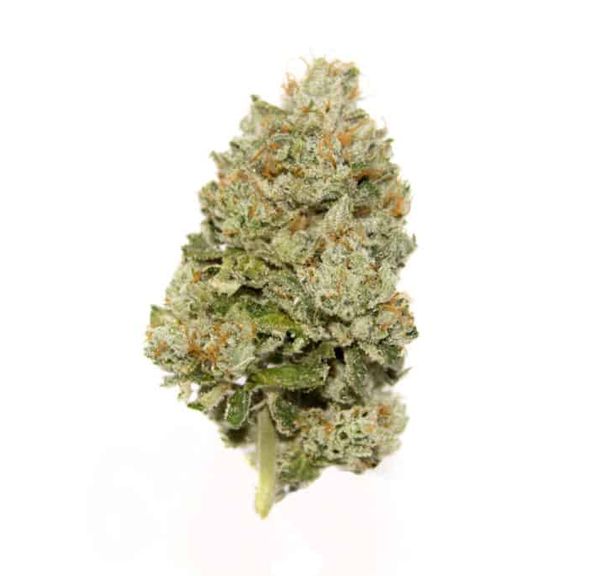 Berry Zkittlez
