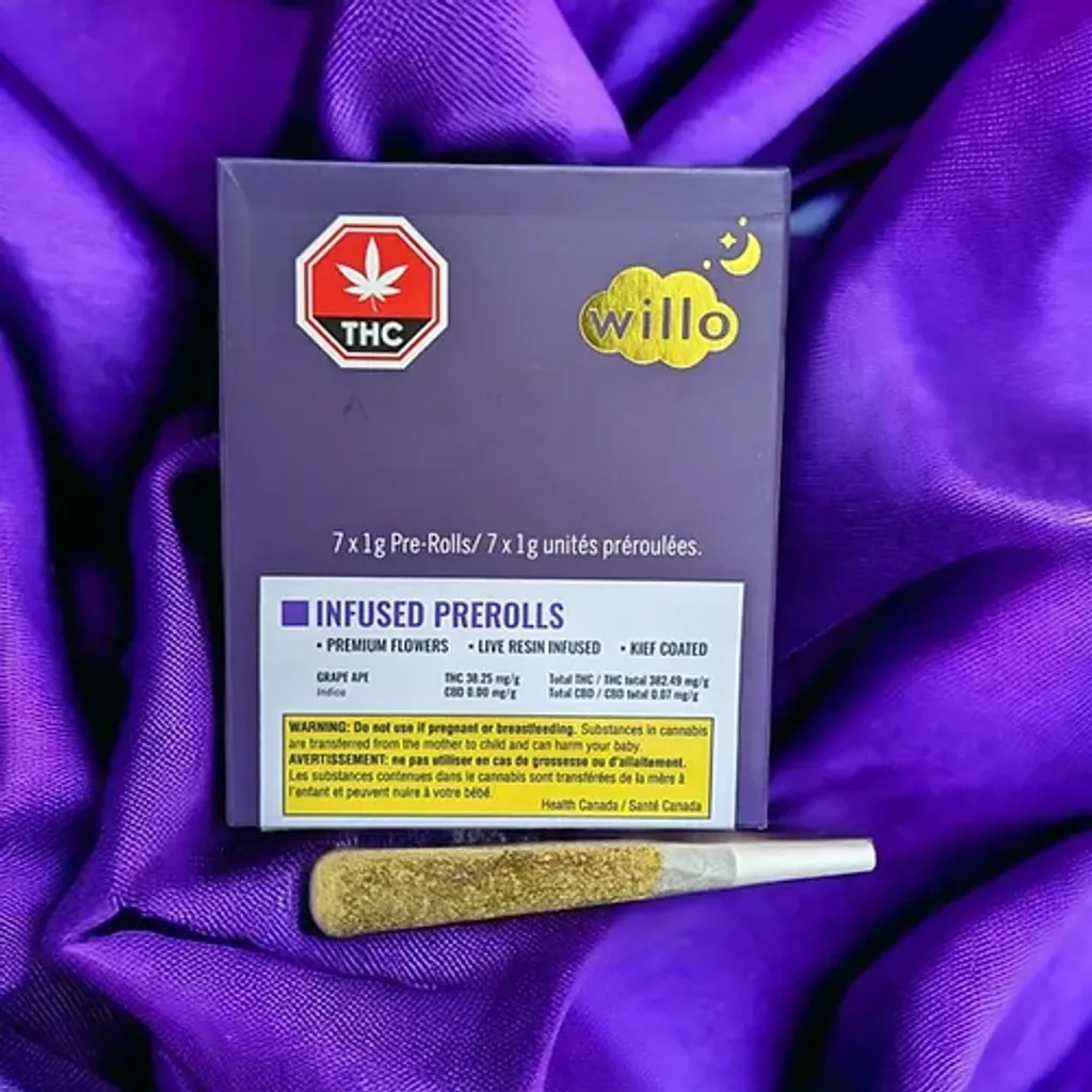 INFUSED PRE ROLLS (7x1g) - WILLO - Flower - Indica