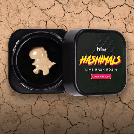 Collie Man Kush - Hashimals - Live Hash Rosin - T-Rex