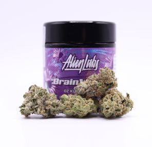 Alien Labs- BRAIN WASH 3.5G