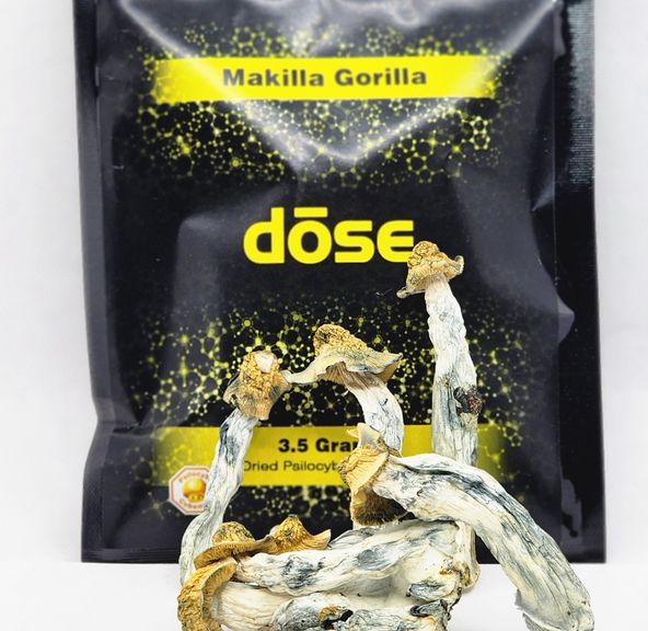 Dose Mushrooms - Makilla Gorilla