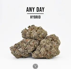 THCa Hemp Flower, Any Day