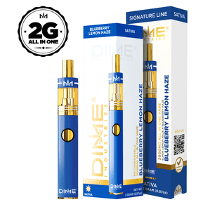 DIME BLUEBERRY LEMON HAZE DISPOSABLE 2G