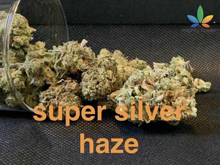 super silver haze top shelf