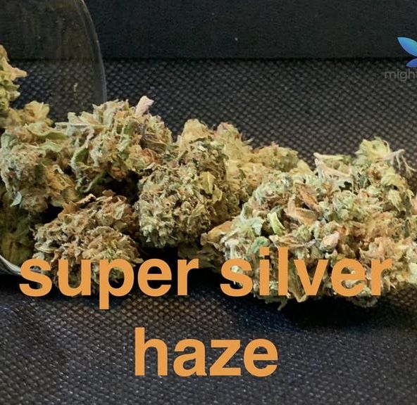super silver haze top shelf