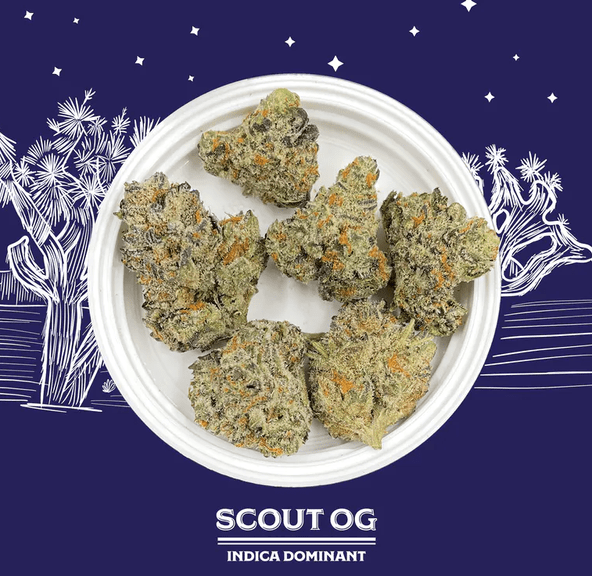 WCTC Best: 1/8 Flower - Scout OG (Indica), 3.5g