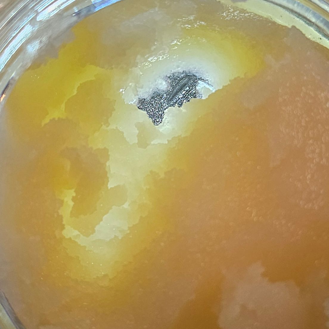 Dissolv - Dabs - Biscotti - 1g