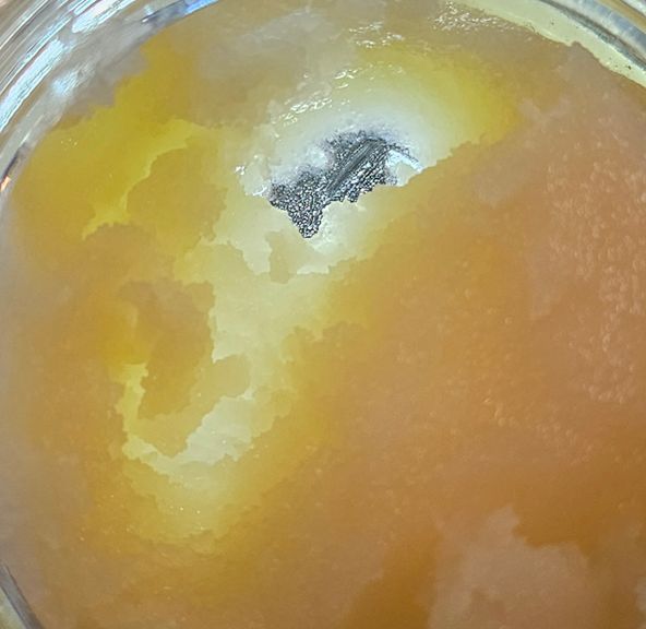 Dissolv - Dabs - Biscotti - 1g