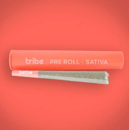 Dragonberry Z - Sativa - Flower Pre Roll