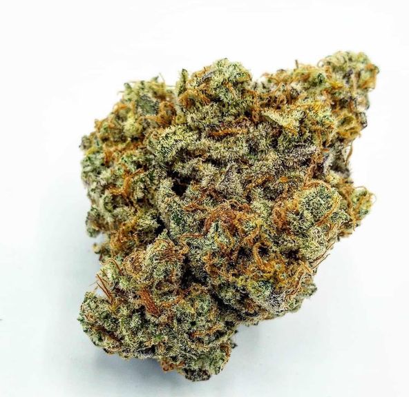 MAC Miracle Alien Cookies Indoor 1/8th CraftCanna