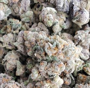 Peanut Butter Soufflé Smalls - ONLY 5g Left For $25 OTD! *CALL AHEAD TO HOLD!