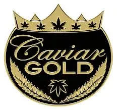 Cavi Cone Caviland $16