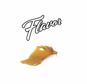 1g Banana Pudding Shatter - FLAVOR