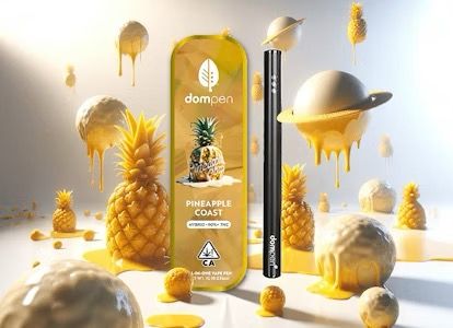 Dompen- Pineapple Coast Disposable 1g (H)