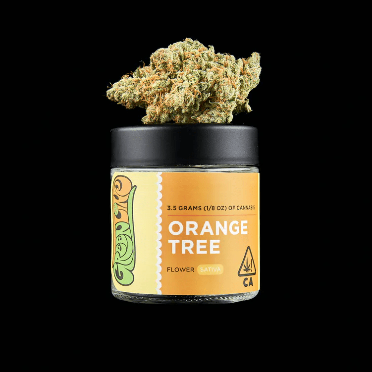 Orange Tree