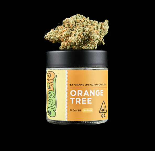 Orange Tree