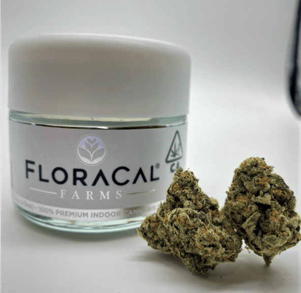 Legacy Biscotti (indica) - 3.5g TOPSHELF INDOOR (THC 31%) by Floracal Farms **2 for $90**